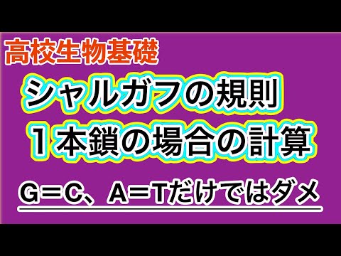 高校生物基礎「シャルガフの規則〜１本鎖における塩基の割合を求める〜」