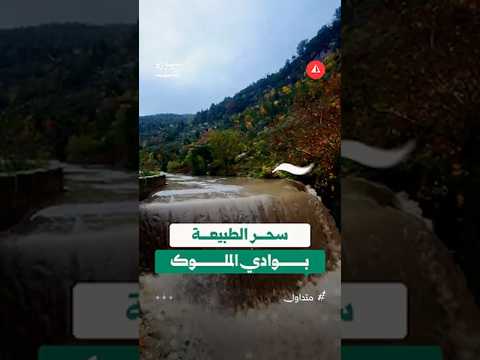 الطبيعة في وادي الملوك بريف اللاذقية