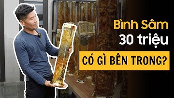 Sâm Lai Châu Ngâm Rượu Vừa Đẹp Vừa Dễ Uống!