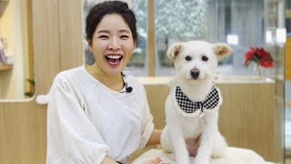 [재능기부]안락사직전구조‼️평생 함께 웃어주실분 찾아요!! | 유기견입양 | 사지말고 입양하세요.