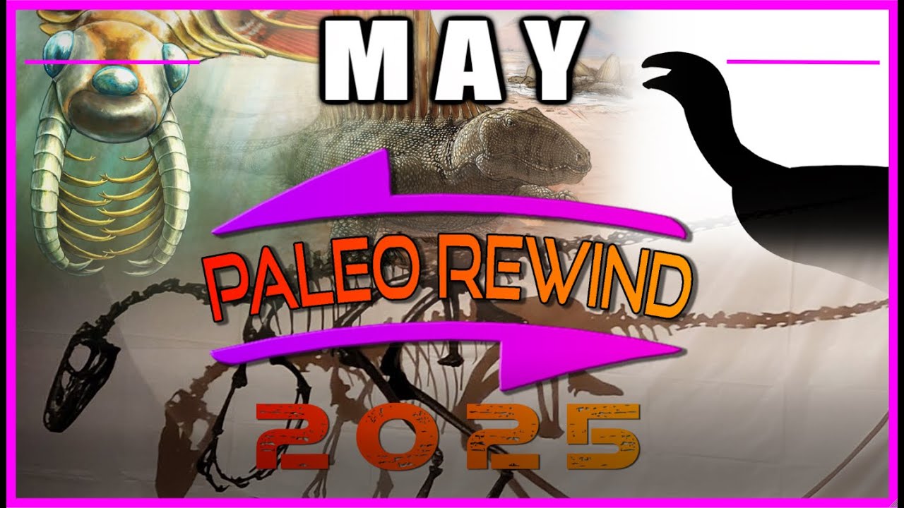 PaleoRewind || May, 2025