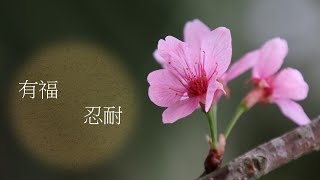 靈修:有福-忍耐 20210812