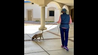 Exterior search w/bonus hide-Sometimes less is more-March 17, 2024