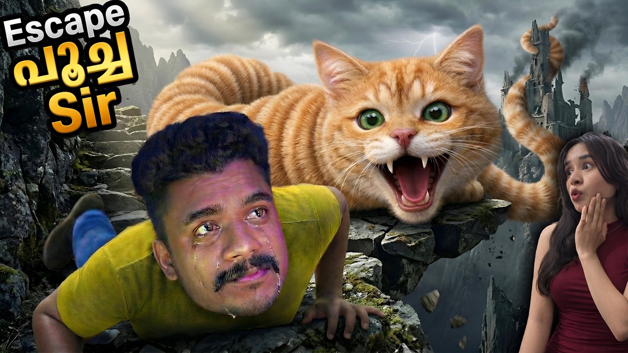 Climbing the SCARY 67 CAT Tower Gone Wrong in ROBLOX😱🔥@jellybeanplayss