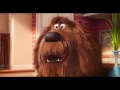 The Secret Life Of Pets Movie Max Tries To Frame ...