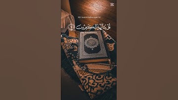 سورة الكافرون 🕋💝 قرآن كريم