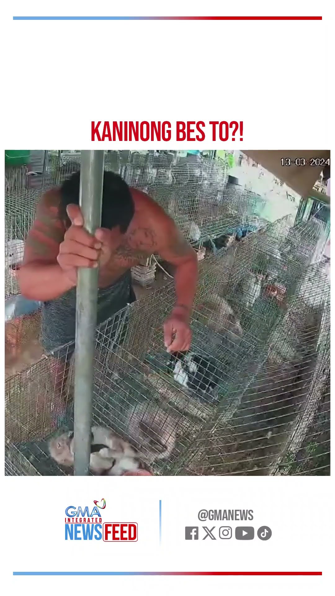 Ahas, sinunggaban ng lalaki  | GMA Integrated Newsfeed