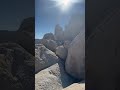 Rock Climbing in Joshua Tree National Park