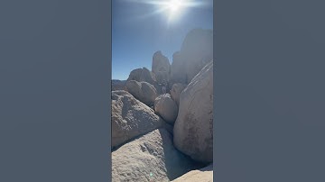 Rock Climbing in Joshua Tree National Park