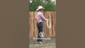 From the collection   How To Start a Rope Horse Day 3