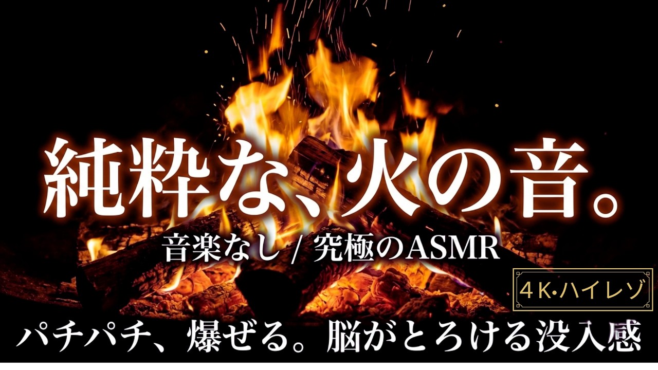 【睡眠用・集中ASMR】純粋な焚き火。パチパチ焚き火の音100% / 暖かい / 作業用 / 勉強 音楽 / ヒーリング / 朝まで眠る4時間（音楽なし・途中暗転あり）