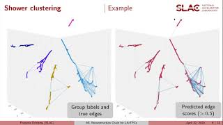 CTD2020: Particle Clustering + Flow Reco for Particle Imaging Neutrino Dets w/GNNs-Francois Drielsma