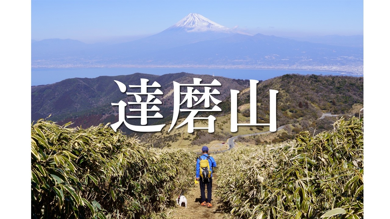 2026.02..21　達磨山