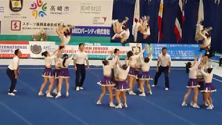 立教大学 BEAMS Div1-Fin CAIOC 2017