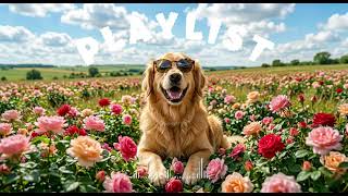 🌹Rose Day Romantic Pop Playlist | A Heart Full of Love & Sweet Vibes💖 screenshot 5