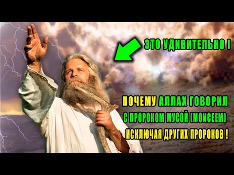 Video: Муса кайсы тоого чыккан?