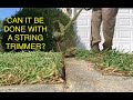 Edging a seriously overgrown sidewalk! With a string trimmer?
