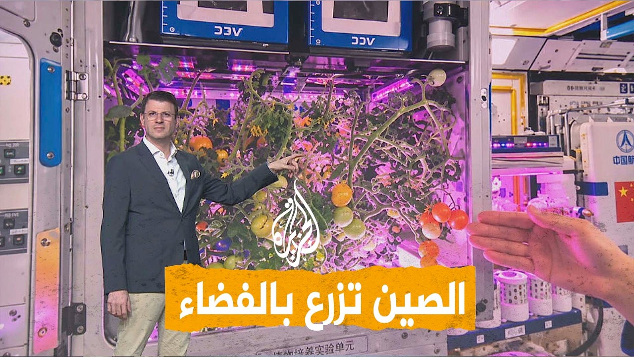 ����� - ����� ���� �� ����� �� ������
 - نشر قبل 12 دقيقة