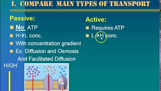 Active vs. Passive Transport Notes (Theme 2 Topic 3)
