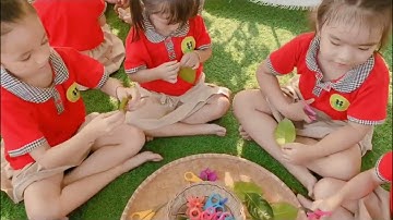 Hoạt động ngoài trời | Làm đồ chơi từ lá cây | Lớp: 5-6 Tuổi A2 | Trường mầm non Hương Vĩ