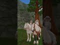 #horses#sso#starstable#starstableonline#horsegame#gaming#trend#cheval#chevaux