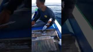 Экстремальная рыбалка на злого тунца! Часть 10 - полное видео в комментариях