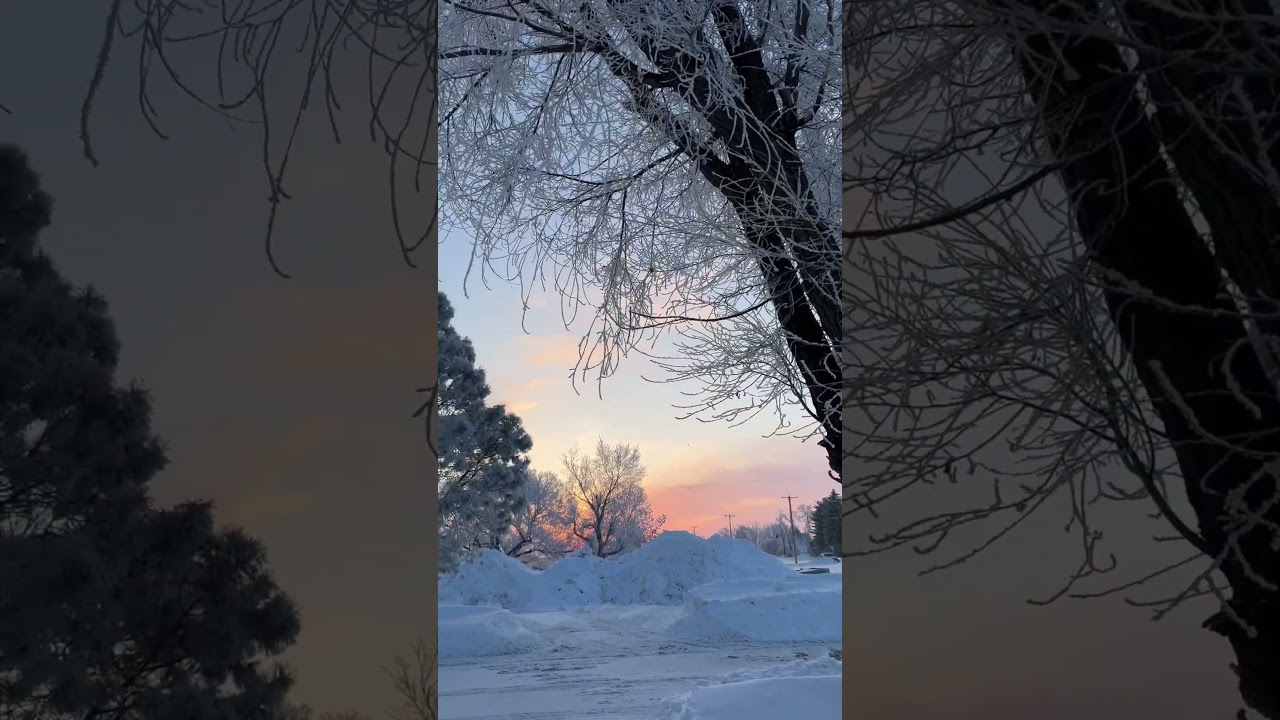 6am in North Dakota. Sound on for the birds! Beautiful 💓🙏🏼☕️