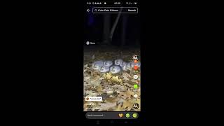 Preview 1208 Cat Putie