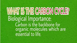 THE CARBON CYCLE Eco System