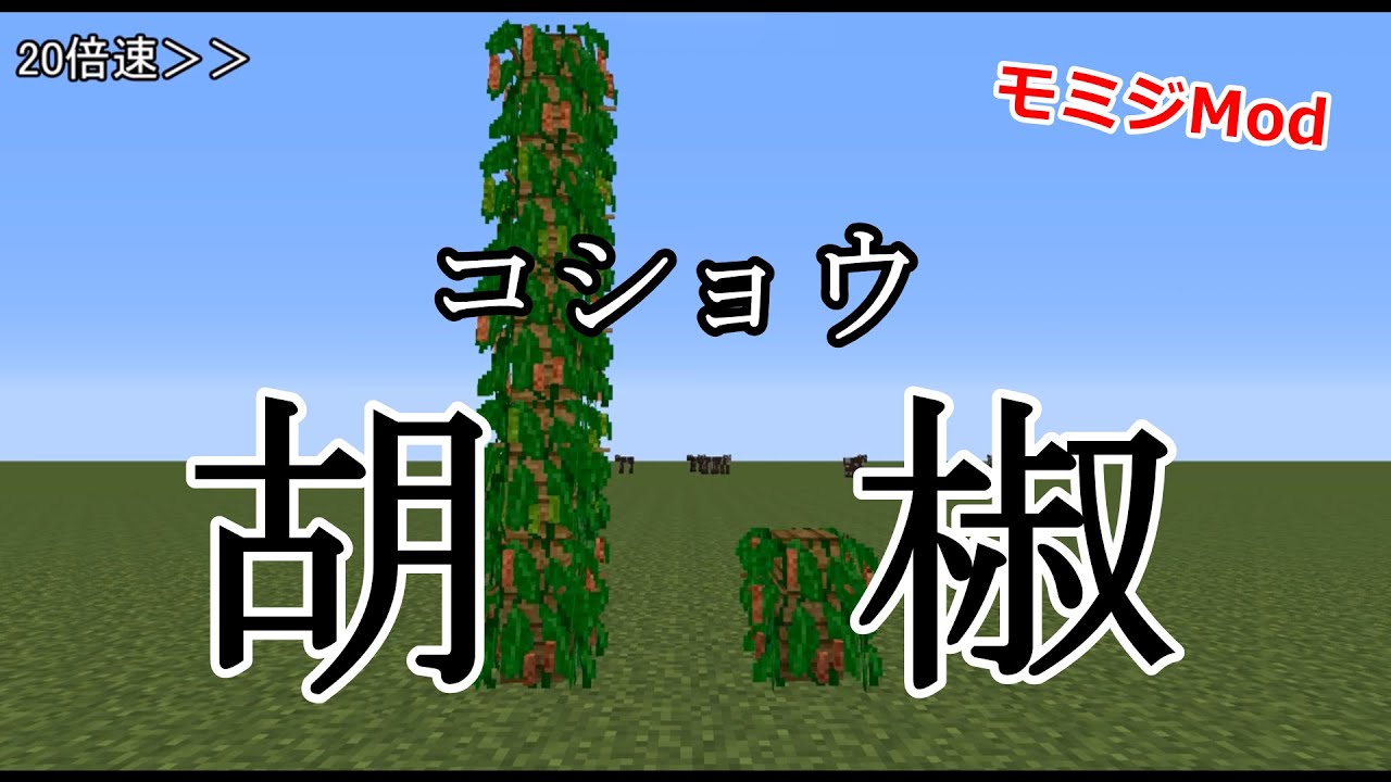 マイクラ モミジmod 胡椒 の成長速度 Youtube