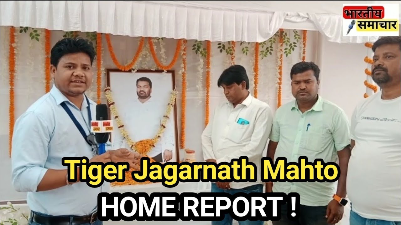 Tiger Jagarnath Mahto Home Report Bhartiya Samachar YouTube Tiger Jagarnath Mahto Home Report Bhartiya Samachar YouTube