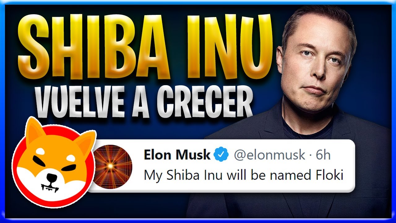 SHIBA INU CRIPTOMONEDA - Twit de Elon Musk hace subir un 25% el precio de SHIBA INU TOKEN