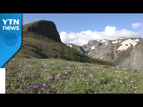 &#39;절경과 비경&#39; 민족의 영산, 백두산의 사계를 한눈에 / YTN