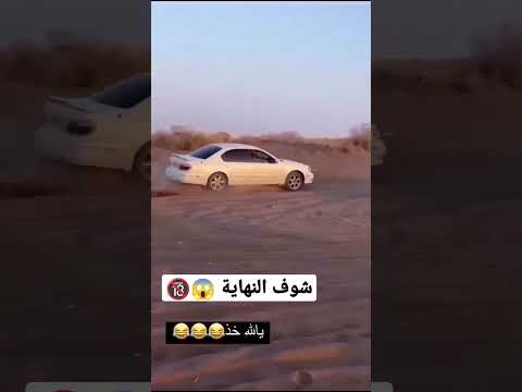 شوف راعي ماكسيما شو صار له في النهاية