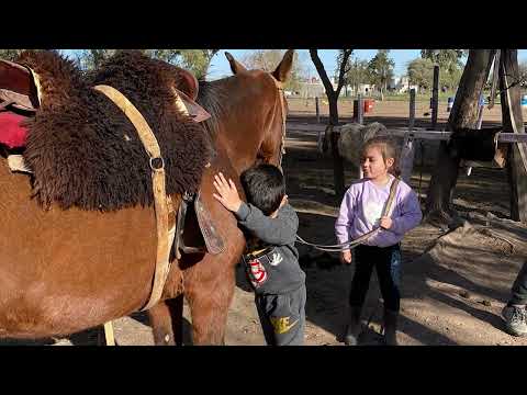 Entrevista a representantes de la escuela de equitación Al Tranco Ing. Paola Gianmalva