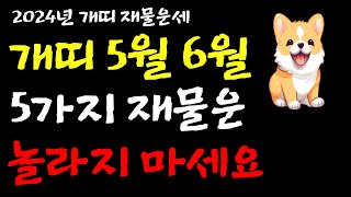 2024년 개띠 5월 6월 5가지 재물운 놀라지 마세요ㅣ개띠 해약살 예방책ㅣ개띠 대운 오기 전조현상ㅣ개띠노년…