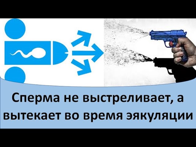 6 мифов про зачатие: популярные заблуждения| Блог клиники «Линия жизни» в Москве