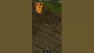 Whole lotta something else | Project Zomboid (Apocalypse): Part 7