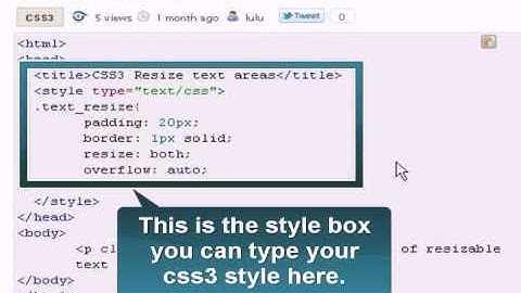 CSS3 Tutorial : CSS3 resize text area