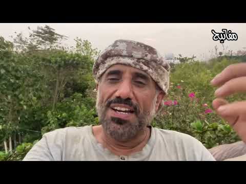 الهواية تنمي نصف العقل فلاتهملها