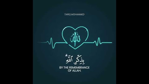 مقطع من سورة الرعد الاية 28