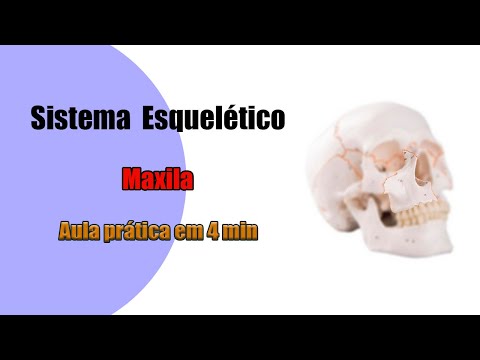 Vídeo: Maxila: Anatomia óssea, Função E Procedimentos Cirúrgicos