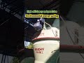 Live Demo: YGM Raymond Mill Working at Customer Site - Industrial Grinding Machine