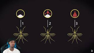 FlightReacts What Happens to Your Blood Inside a Mosquito?