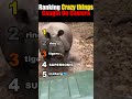 Ranking Crazy Things Caught On Camera🤯 #shorts #funny