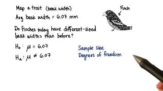 Finches - N And Df - Intro To Inferential Statistics