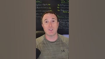 What are run-rate financials?