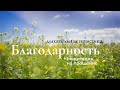 День 7. Дыхательная практика на Благодарность