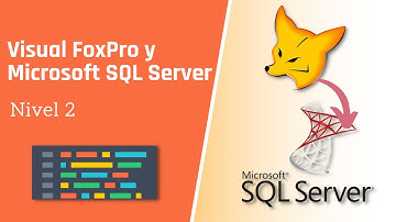 Visual FoxPro y Microsoft SQL Server - Nivel 2 (Curso Completo)