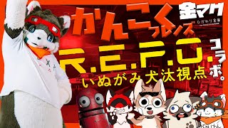韓国フレンズとレポコラボ ｜ いぬがみ犬汰視点